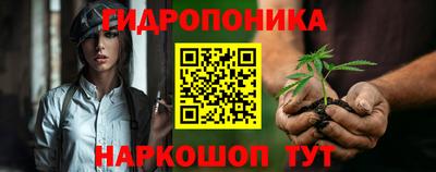 индика Азнакаево